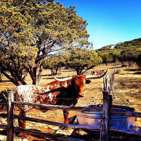 Screen shot 2013-03-03 at 11.15.24 PM