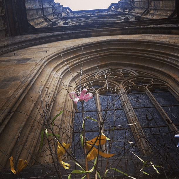 Screen shot 2013-04-05 at 12.56.36 PM