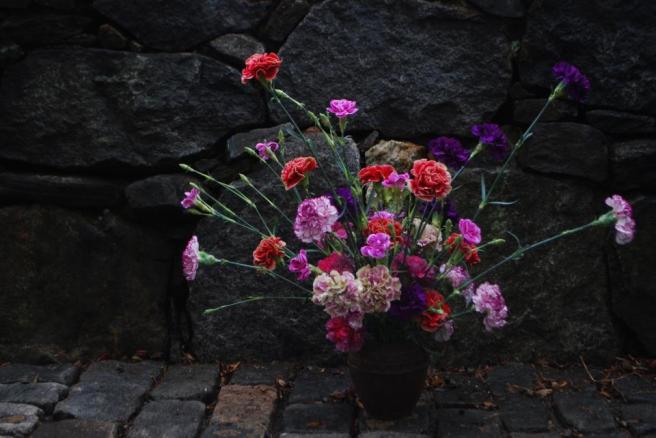 321384_492669870776236_1033921921_n