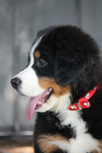 ec47075c8cf71a57ad378aba52981edf